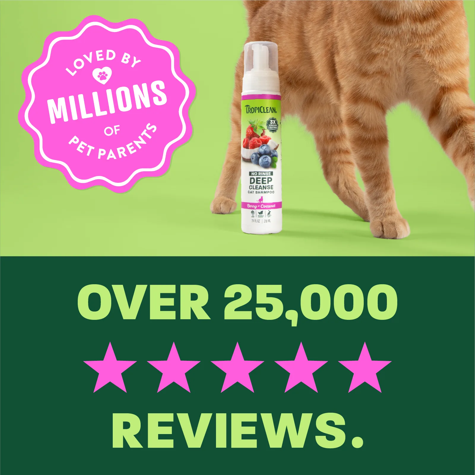 TropiClean Champú Seco de Limpieza Profunda para Gatos — 218 ml 5