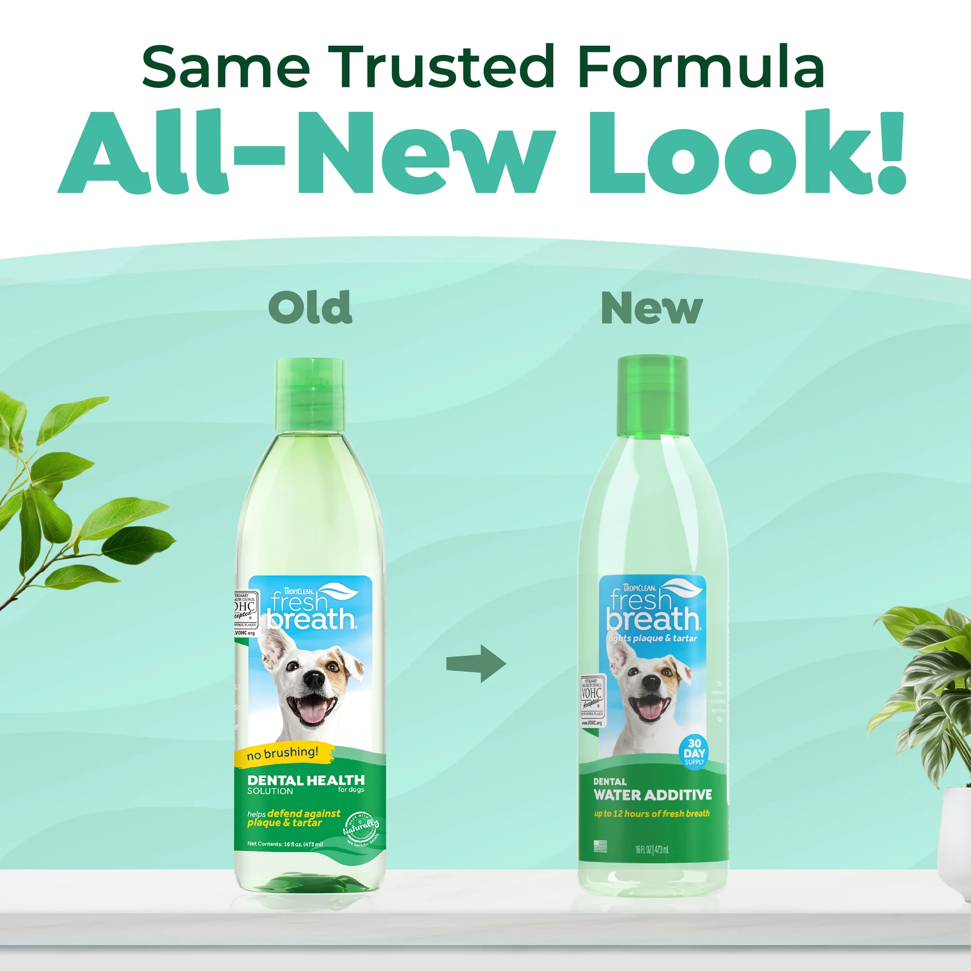 TropiClean Fresh Breath Dental Water Additive for Dogs, 16oz