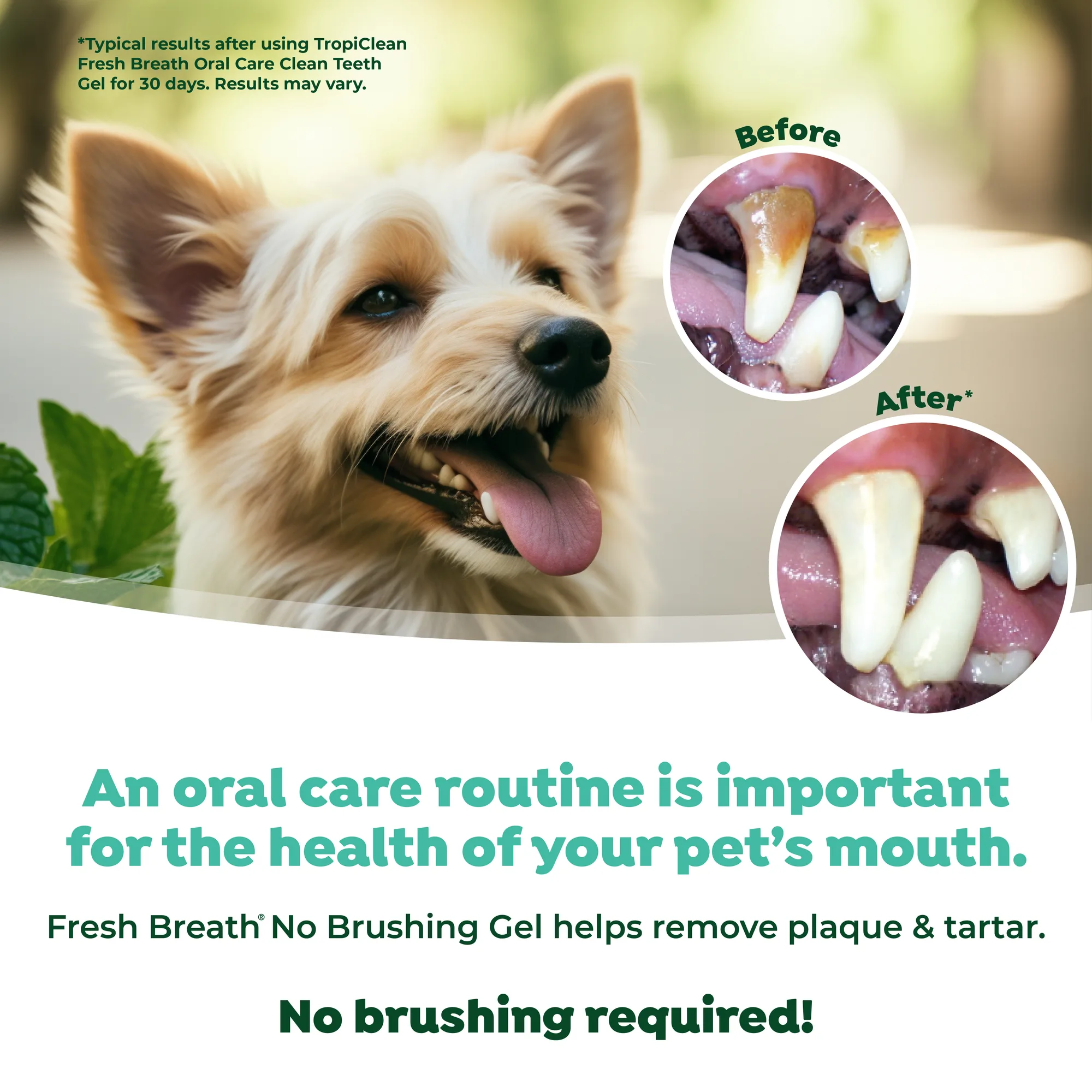 Fresh Breath by TropiClean Gel de Cuidado Bucal para Perros — Mantequilla de Maní, 59 ml 4