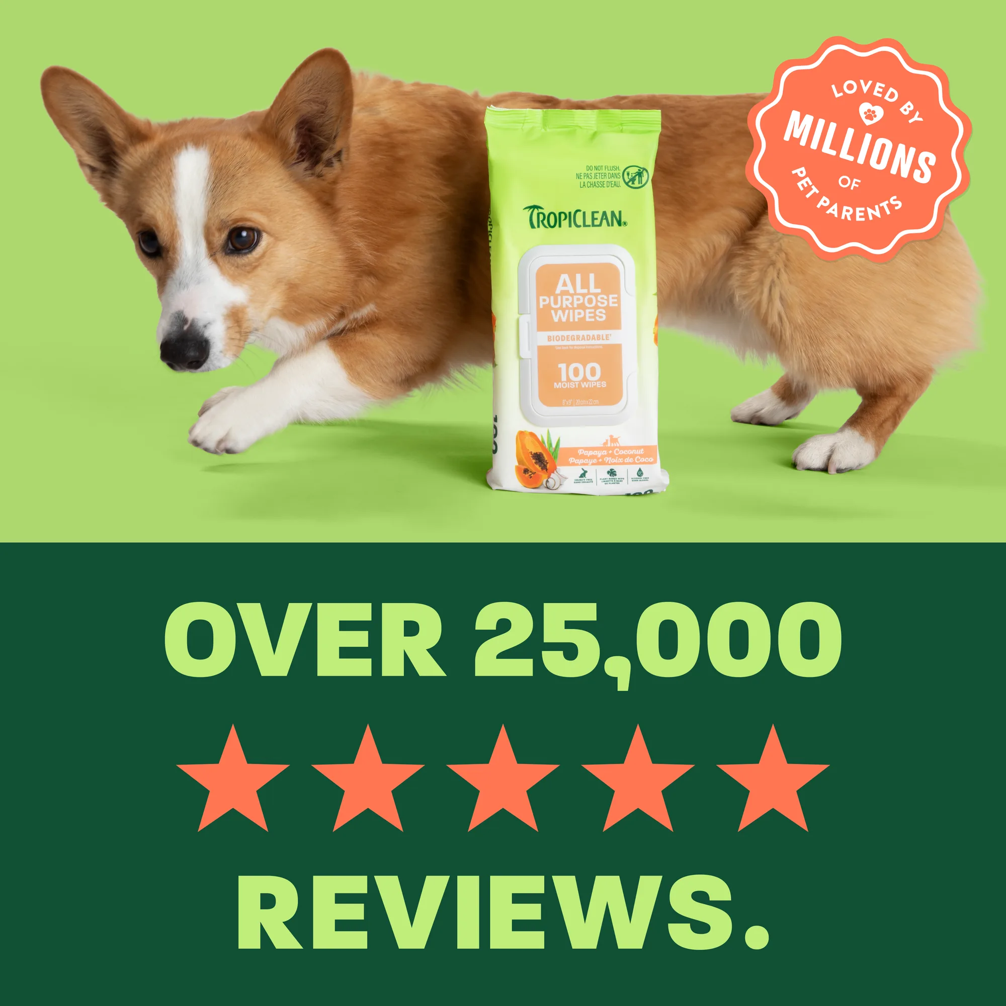 TropiClean Toallitas Limpiadoras Profundas para Mascotas — 100 unidades 5