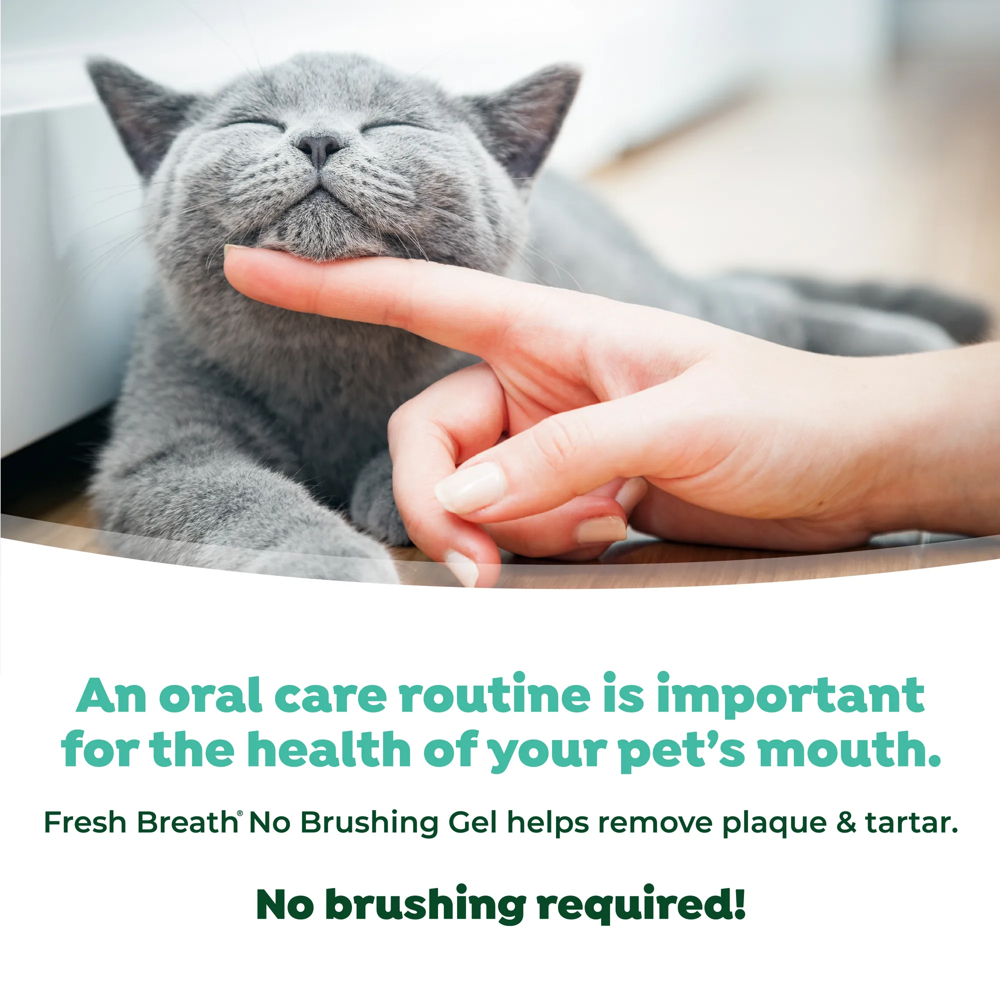 Fresh Breath by TropiClean Gel de Cuidado Bucal para Gatos — 59 ml 4