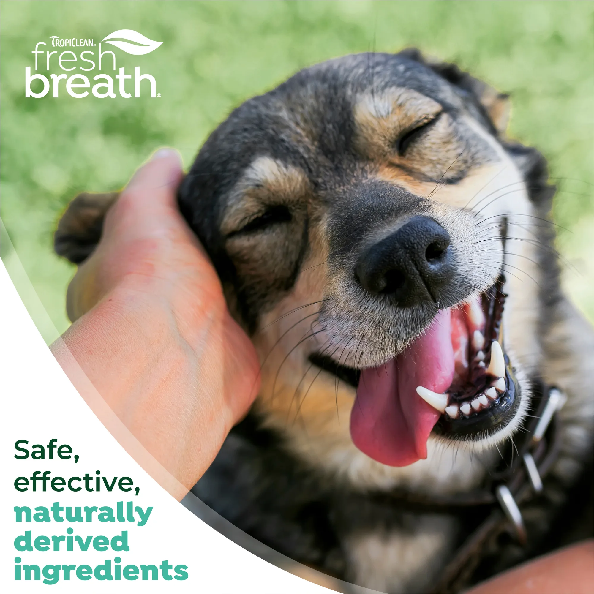 Fresh Breath by TropiClean Kit de Cuidado Bucal para Perros — 59 ml 7