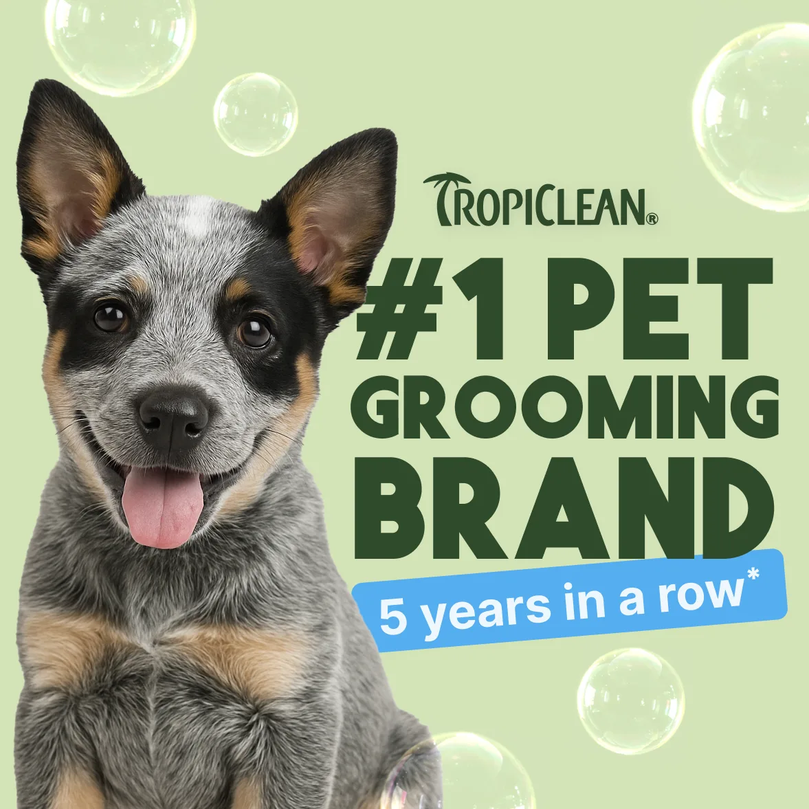 TropiClean Champú para Mascotas — Coco Delicado, 3,78 L 2