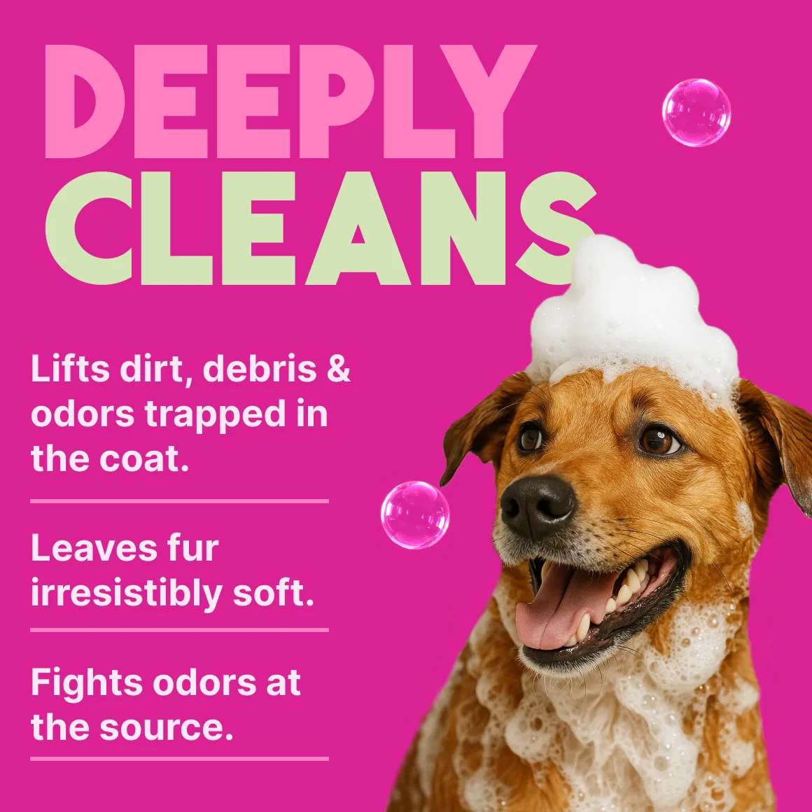 TropiClean Champú para Mascotas — Frutos del Bosque y Coco, 3,78 L 3