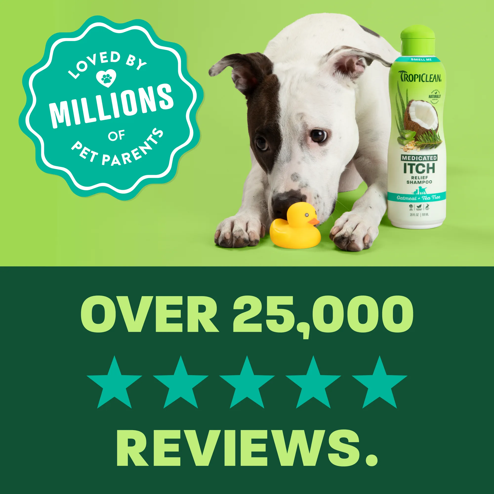 TropiClean Champú para Mascotas — Avena y Árbol de Té, 592 ml 5